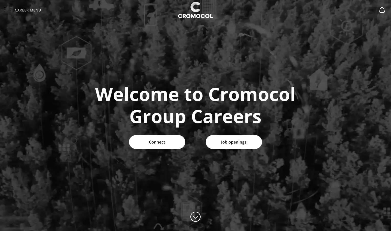 Cromocol Group is growing - Check out Cromocol Careers